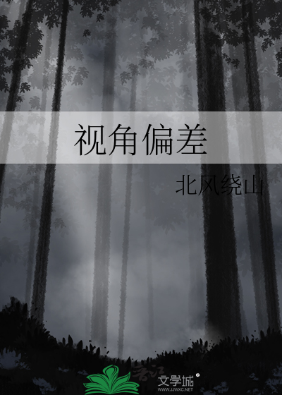 视角偏差