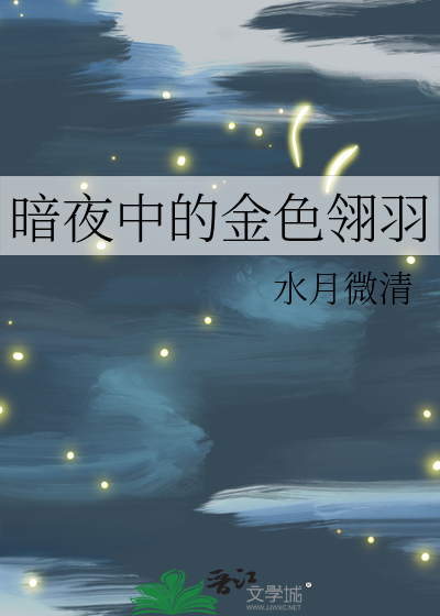 暗夜中的金色翎羽