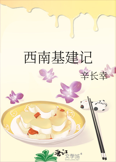 西南基建记